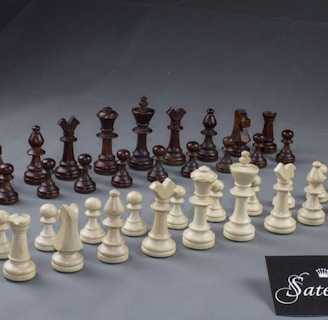 A set of chess pieces is arranged on a gray surface, consisting of both black and white pieces. In the foreground, the white pieces are arranged in two rows, while the black pieces are positioned in the background in a similar formation. The pieces include pawns, rooks, knights, bishops, queens, and kings. A small card with the brand name 'Satem' is placed in the bottom right corner of the image.